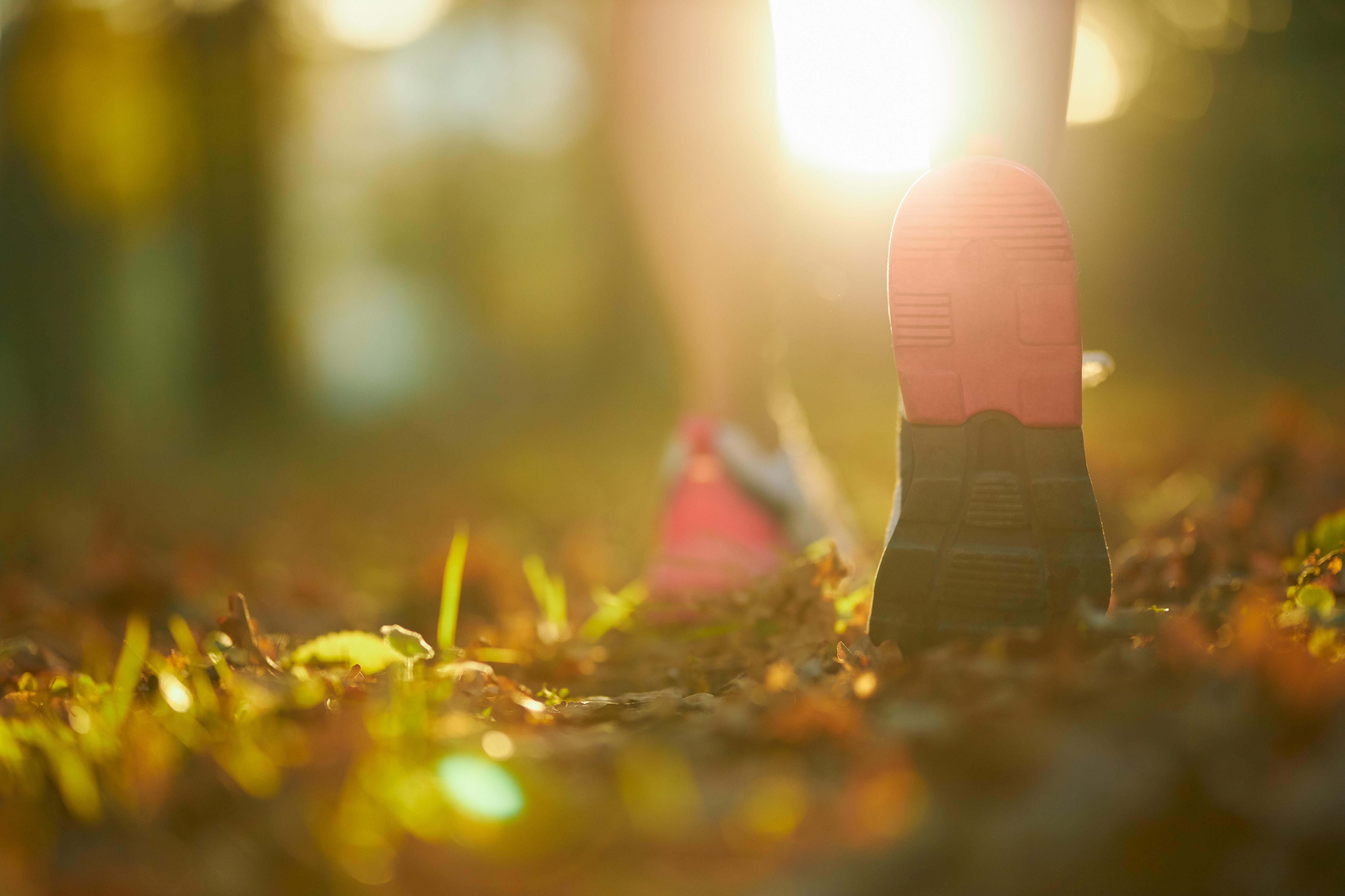 Marche en pleine nature